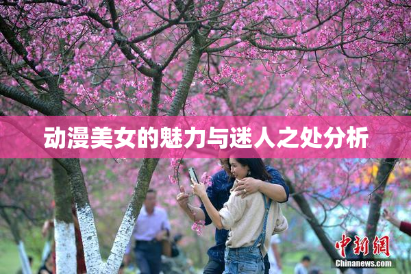动漫美女的魅力与迷人之处分析