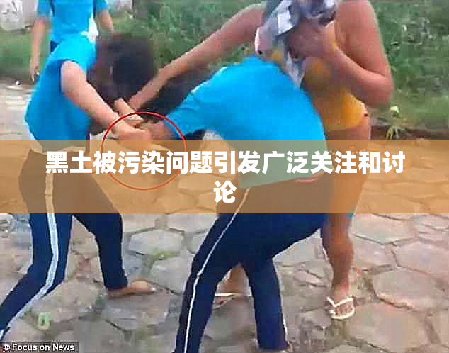 黑土被污染问题引发广泛关注和讨论