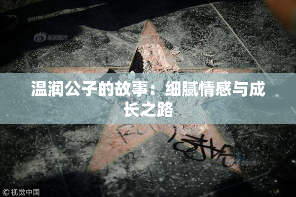温润公子的故事：细腻情感与成长之路