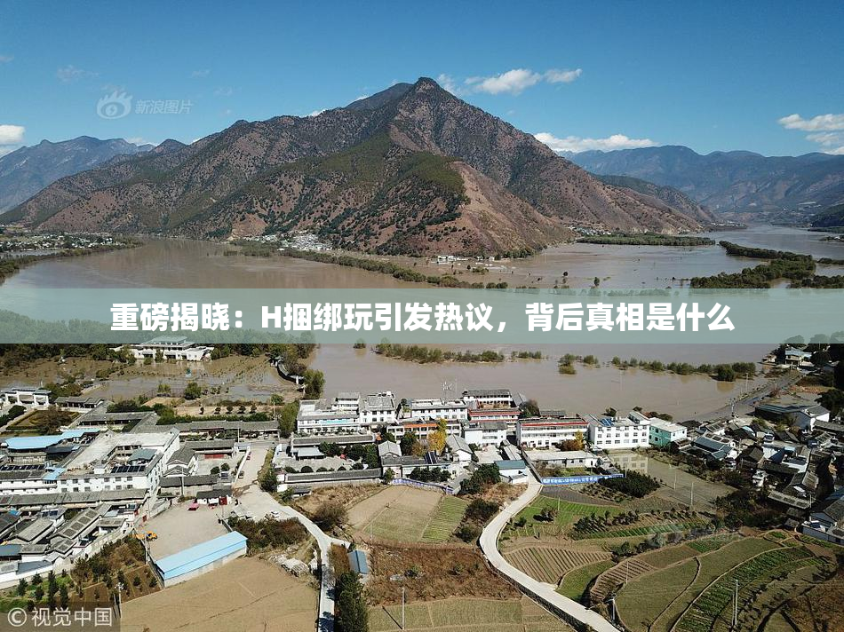 重磅揭晓：H捆绑玩引发热议，背后真相是什么
