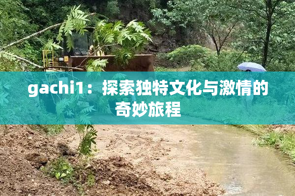 gachi1：探索独特文化与激情的奇妙旅程