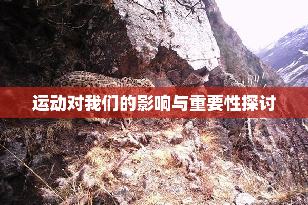 运动对我们的影响与重要性探讨
