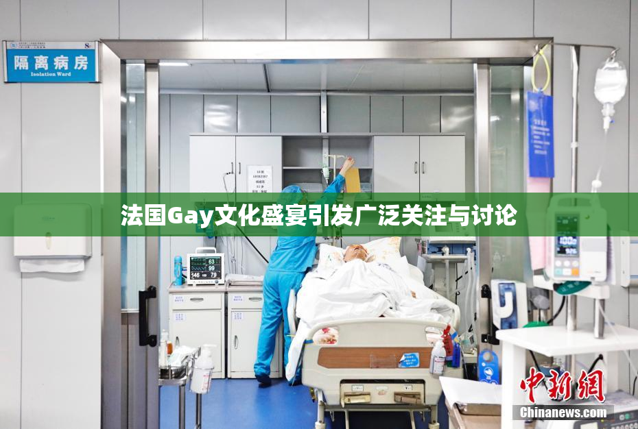 法国Gay文化盛宴引发广泛关注与讨论