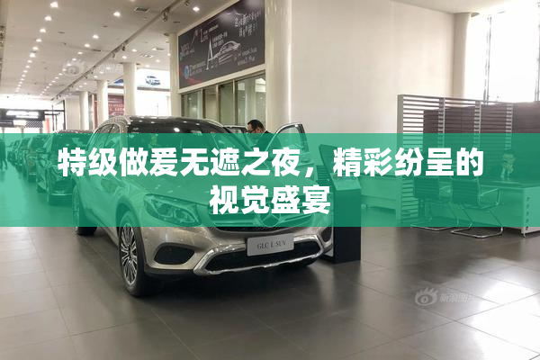 特级做爰无遮之夜，精彩纷呈的视觉盛宴