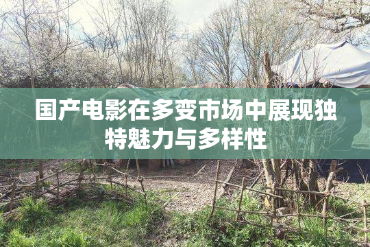 国产电影在多变市场中展现独特魅力与多样性