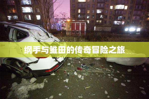 纲手与雏田的传奇冒险之旅