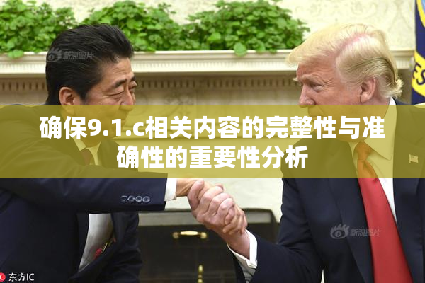确保9.1.c相关内容的完整性与准确性的重要性分析