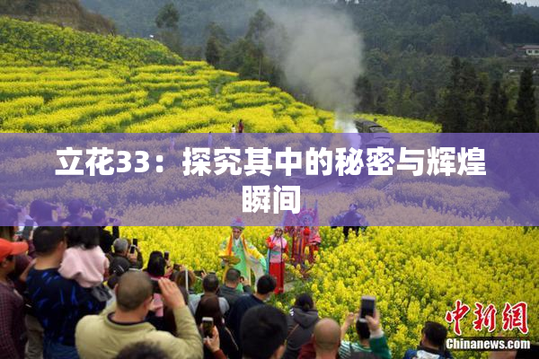 立花33：探究其中的秘密与辉煌瞬间