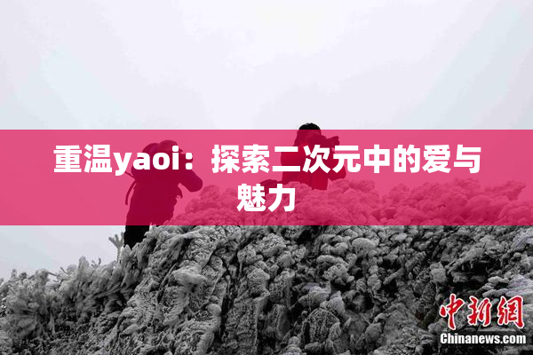 重温yaoi：探索二次元中的爱与魅力