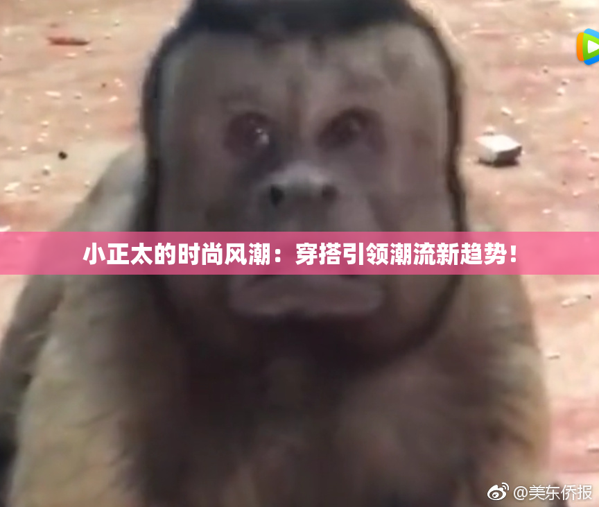 小正太的时尚风潮：穿搭引领潮流新趋势！