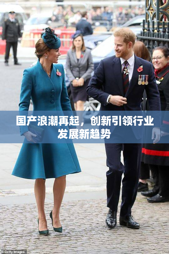 国产浪潮再起，创新引领行业发展新趋势