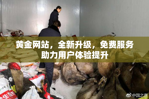 黄金网站，全新升级，免费服务助力用户体验提升
