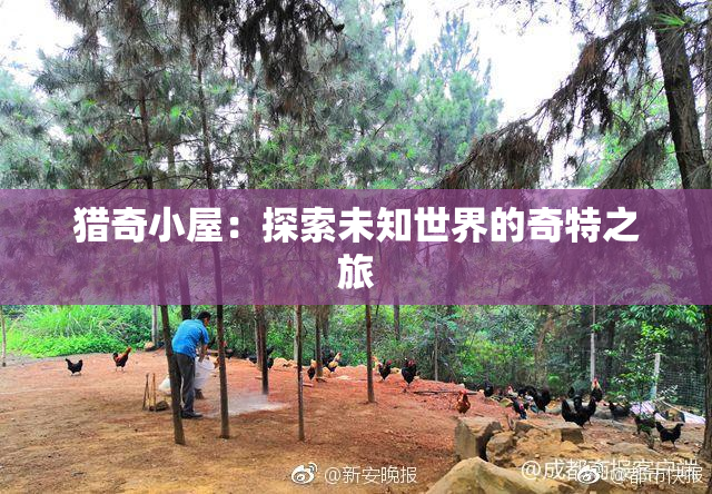 猎奇小屋：探索未知世界的奇特之旅