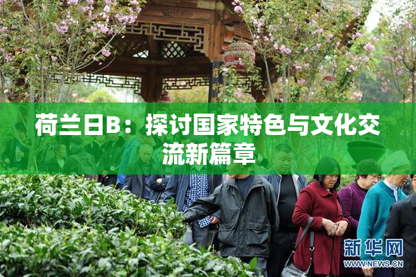 荷兰日B：探讨国家特色与文化交流新篇章