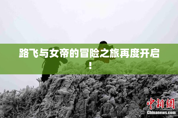 路飞与女帝的冒险之旅再度开启！