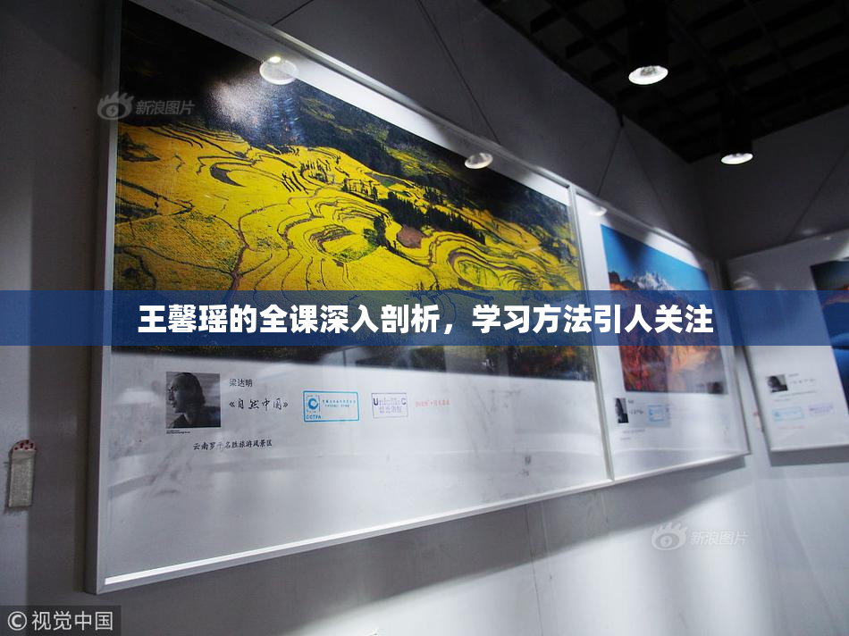 王馨瑶的全课深入剖析，学习方法引人关注