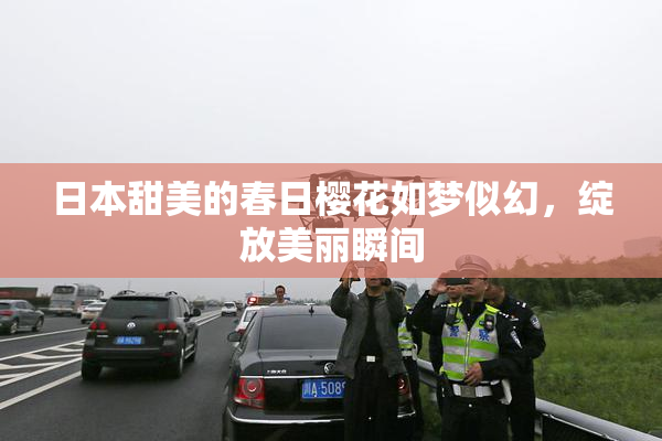 日本甜美的春日樱花如梦似幻，绽放美丽瞬间