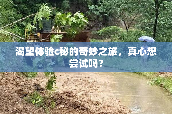 渴望体验c秘的奇妙之旅，真心想尝试吗？