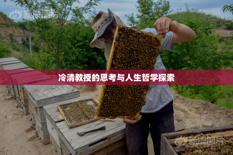 冷清教授的思考与人生哲学探索
