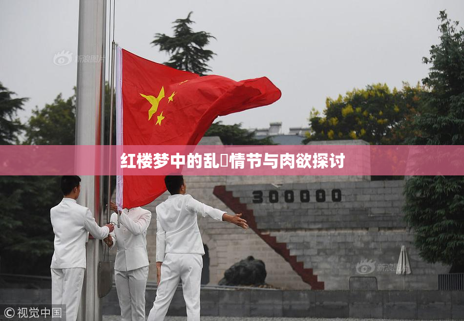 红楼梦中的乱婬情节与肉欲探讨