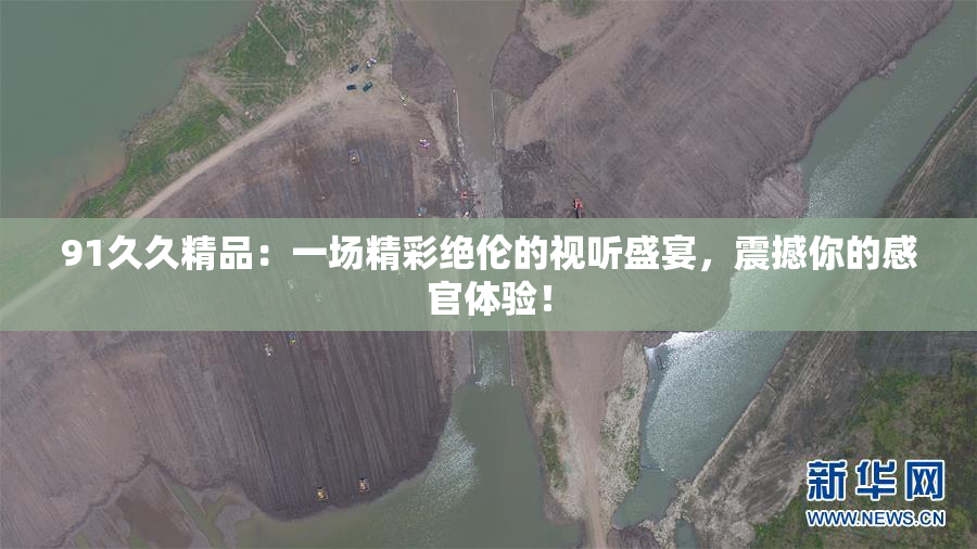 91久久精品：一场精彩绝伦的视听盛宴，震撼你的感官体验！