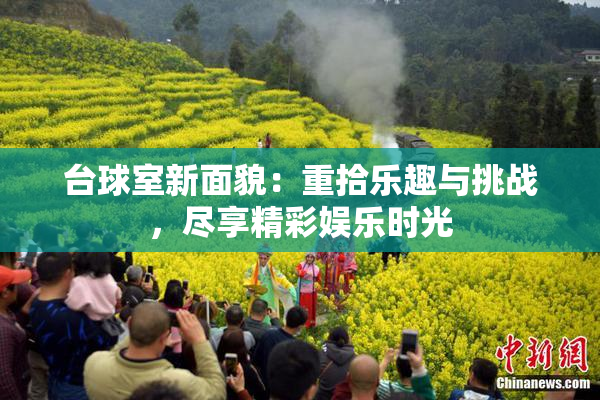 台球室新面貌：重拾乐趣与挑战，尽享精彩娱乐时光