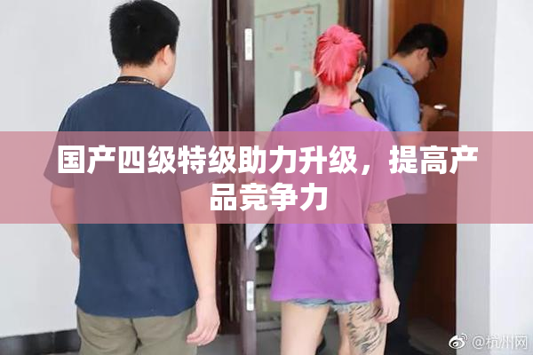 国产四级特级助力升级，提高产品竞争力