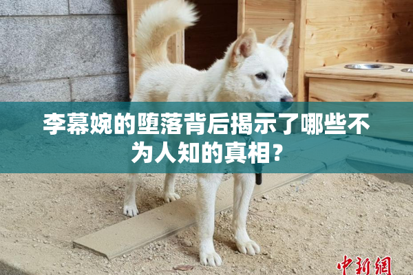 李幕婉的堕落背后揭示了哪些不为人知的真相？