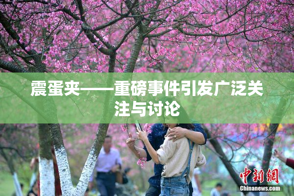 震蛋夹――重磅事件引发广泛关注与讨论