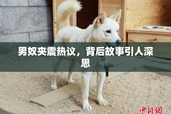 男奴夹震热议，背后故事引人深思