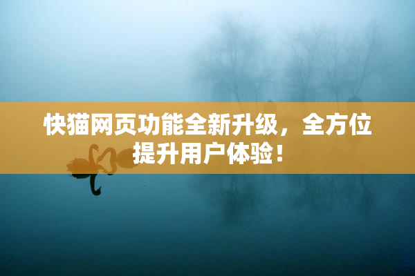 快猫网页功能全新升级，全方位提升用户体验！