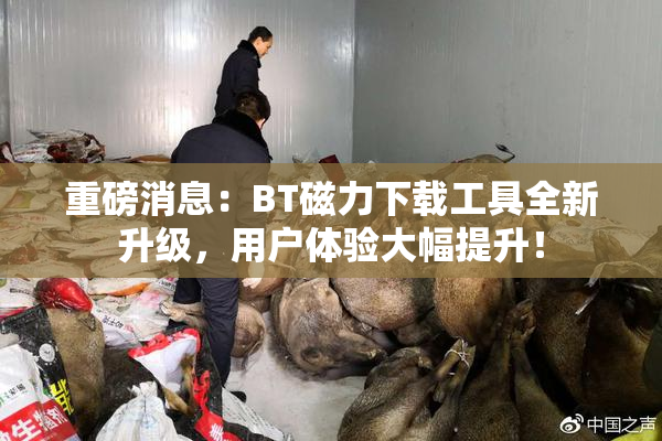 重磅消息：BT磁力下载工具全新升级，用户体验大幅提升！