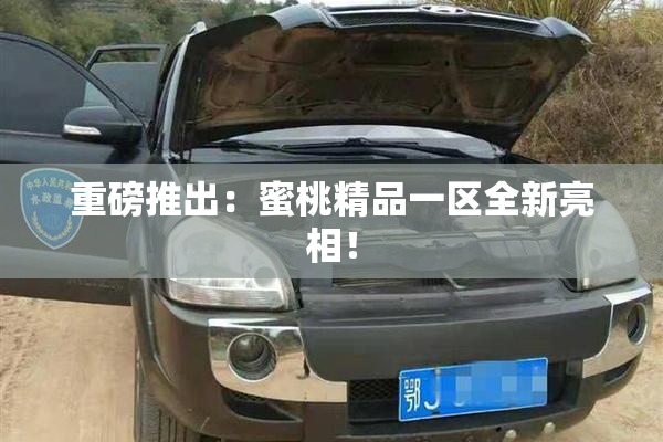 重磅推出：蜜桃精品一区全新亮相！