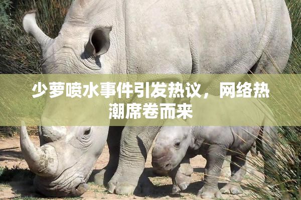 少萝喷水事件引发热议，网络热潮席卷而来