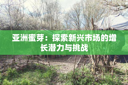 亚洲蜜芽：探索新兴市场的增长潜力与挑战