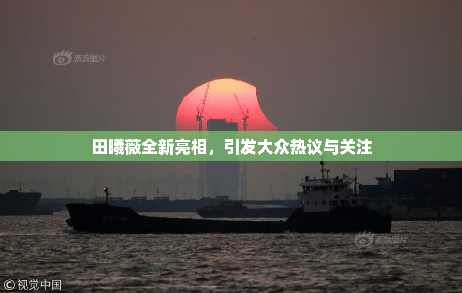 田曦薇全新亮相，引发大众热议与关注