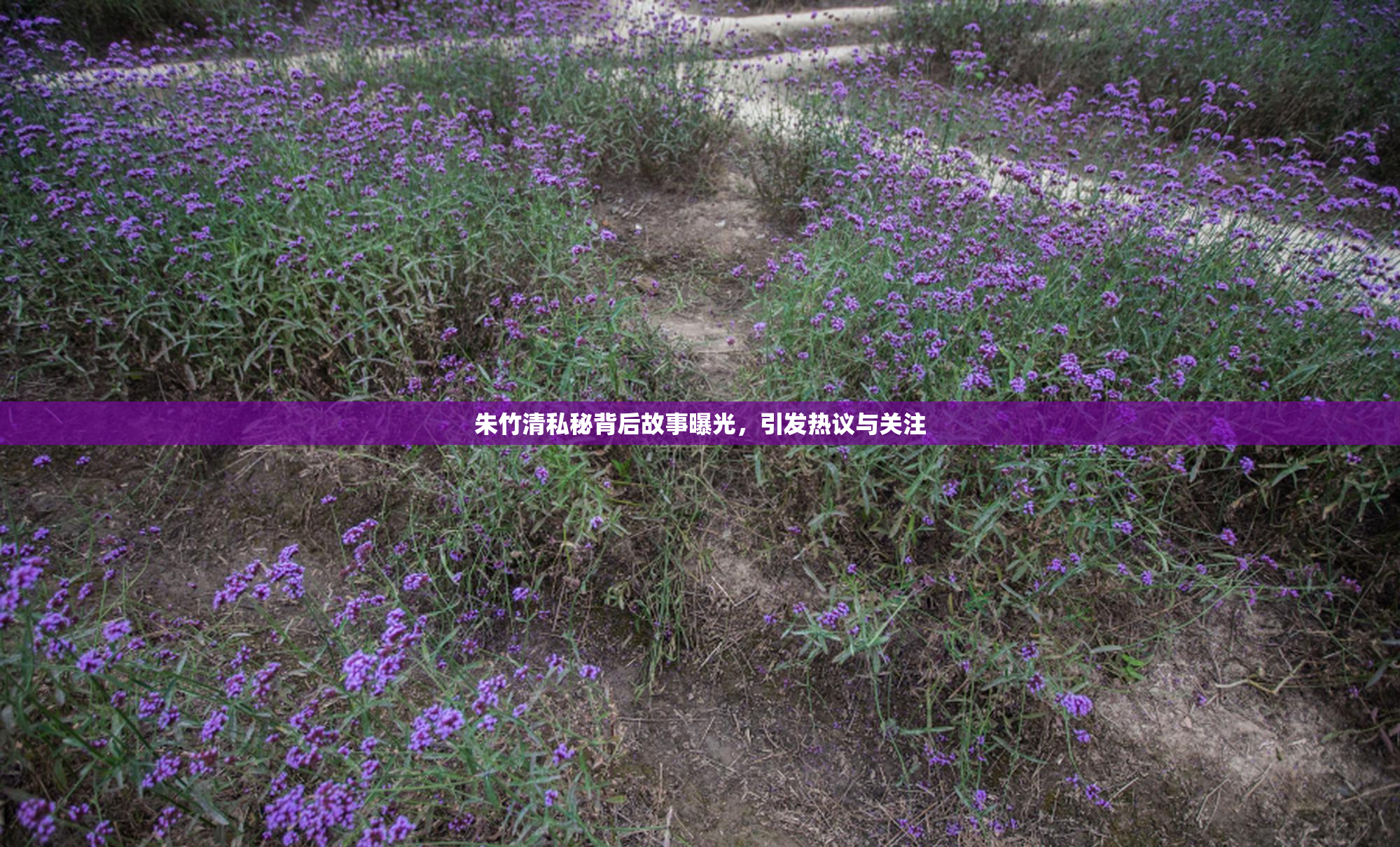 朱竹清私秘背后故事曝光，引发热议与关注