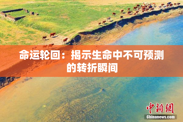 命运轮回：揭示生命中不可预测的转折瞬间