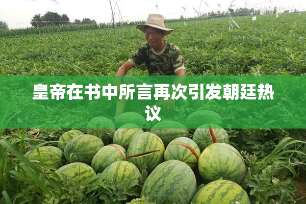 皇帝在书中所言再次引发朝廷热议