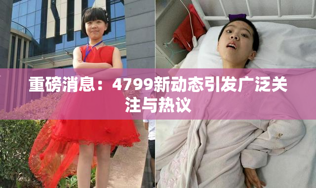 重磅消息：4799新动态引发广泛关注与热议