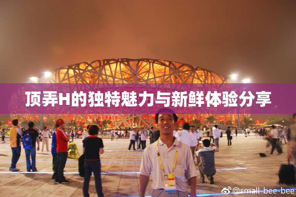 顶弄H的独特魅力与新鲜体验分享