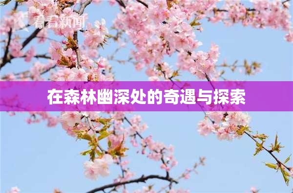 在森林幽深处的奇遇与探索