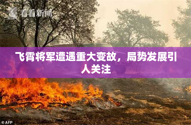 飞霄将军遭遇重大变故，局势发展引人关注