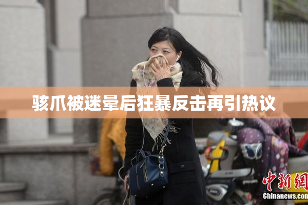 骇爪被迷晕后狂暴反击再引热议