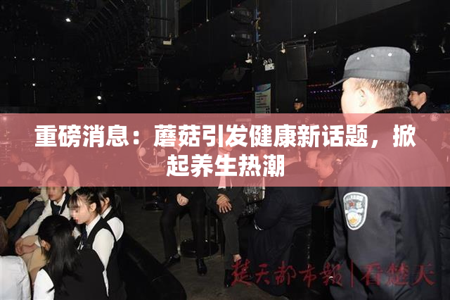 重磅消息：蘑菇引发健康新话题，掀起养生热潮