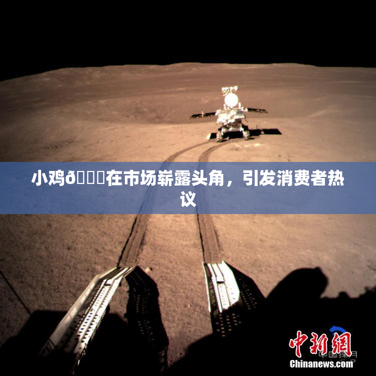 小鸡🐔在市场崭露头角，引发消费者热议