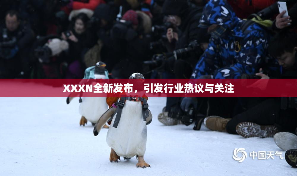 XXXN全新发布，引发行业热议与关注