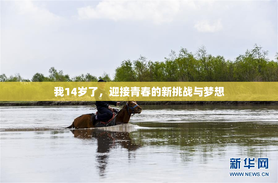 我14岁了，迎接青春的新挑战与梦想