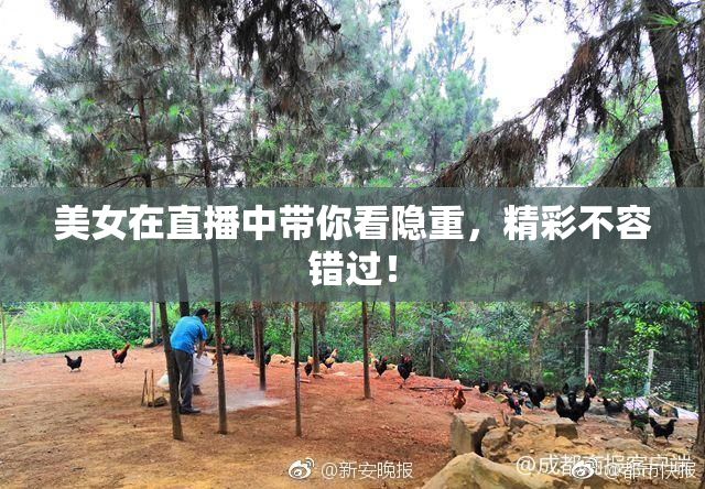 美女在直播中带你看隐重，精彩不容错过！