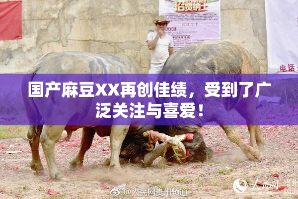 国产麻豆XX再创佳绩，受到了广泛关注与喜爱！